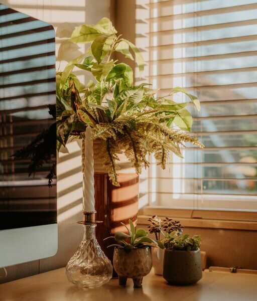 Tips for Creating a Cozy and Inviting Home Workspace